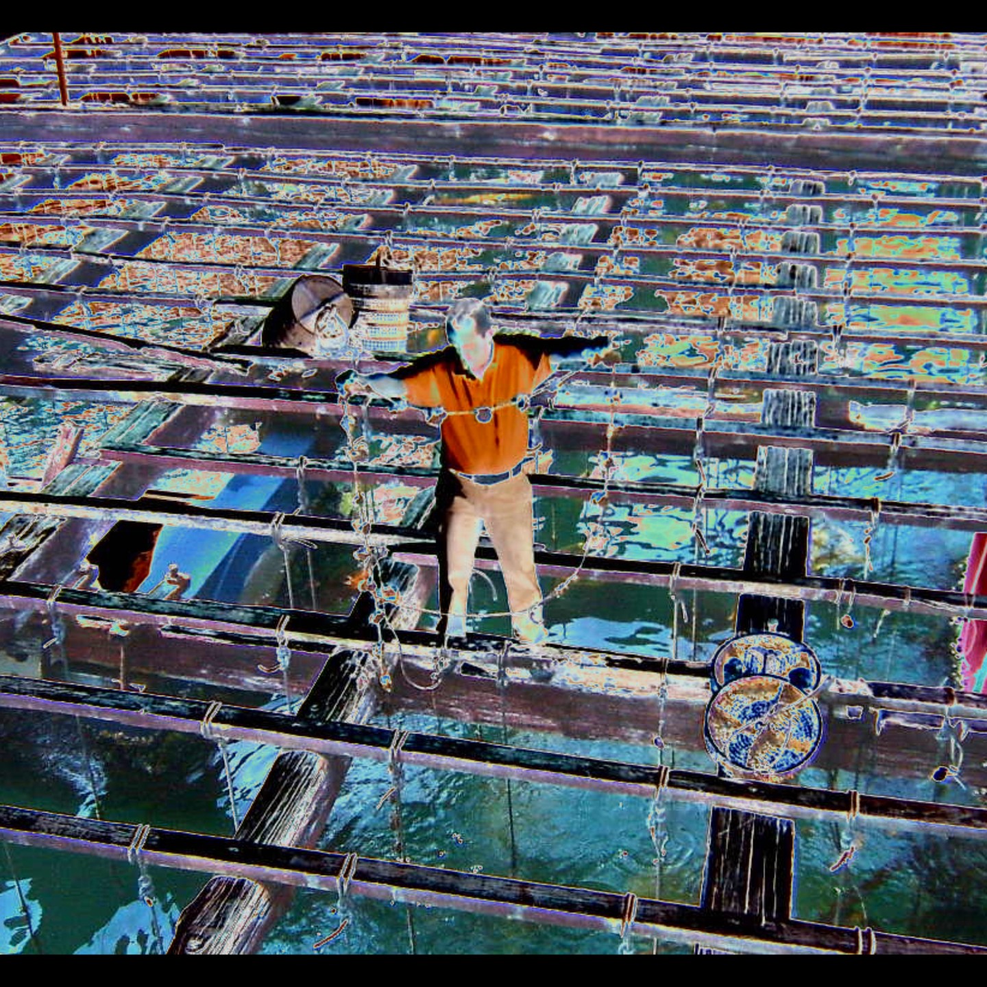Ladislau da Regueira | Floating marine platform project # Surface grille (2008)
