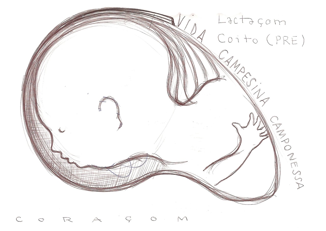 Ladislau da Regueira | The beginning of life that has already begun (2008)