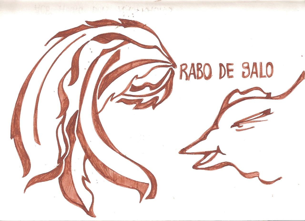 Ladislau da Regueira | Caderno d'Anotações | Rabo de Galo (1997)